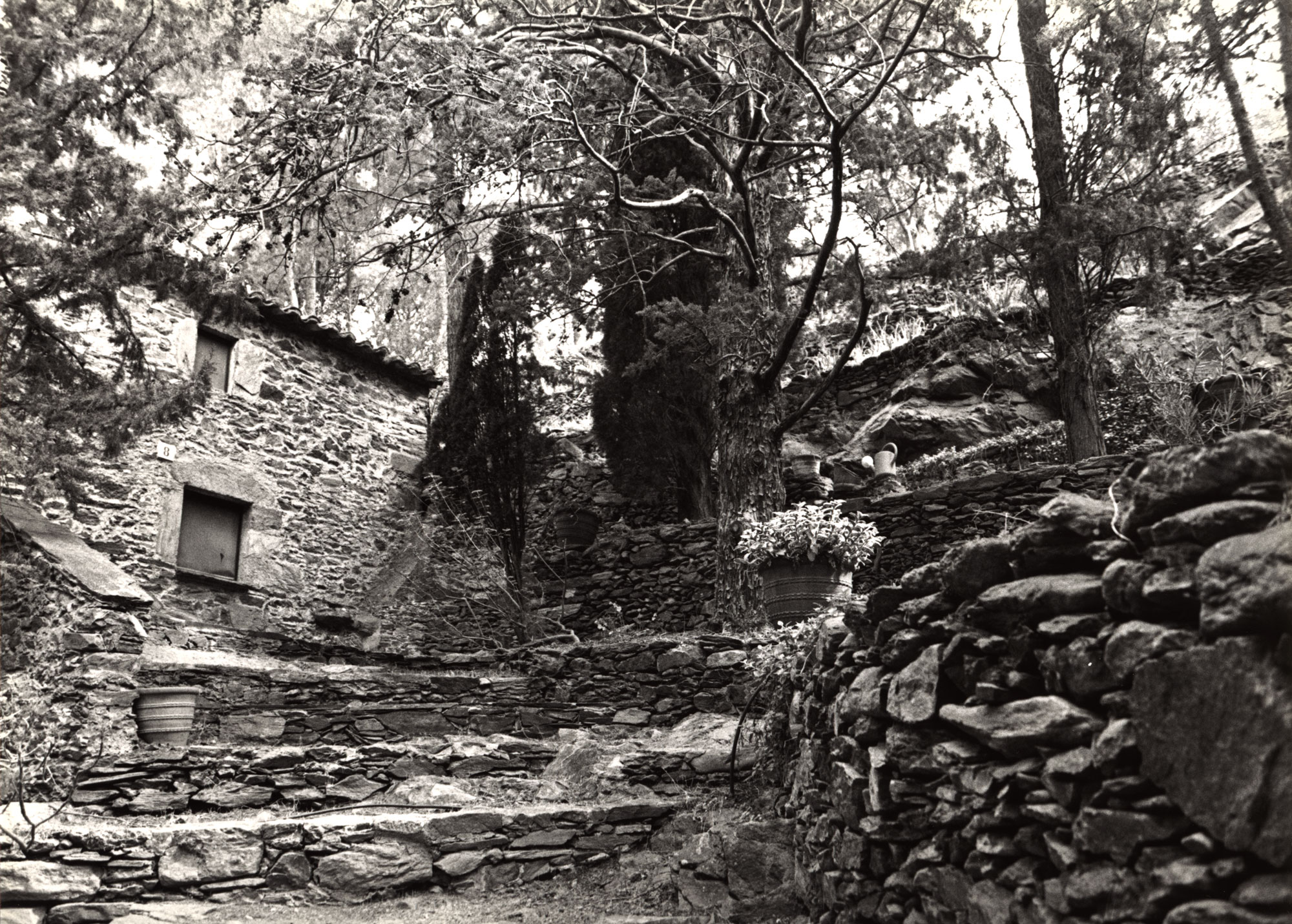 2xp-20-selva