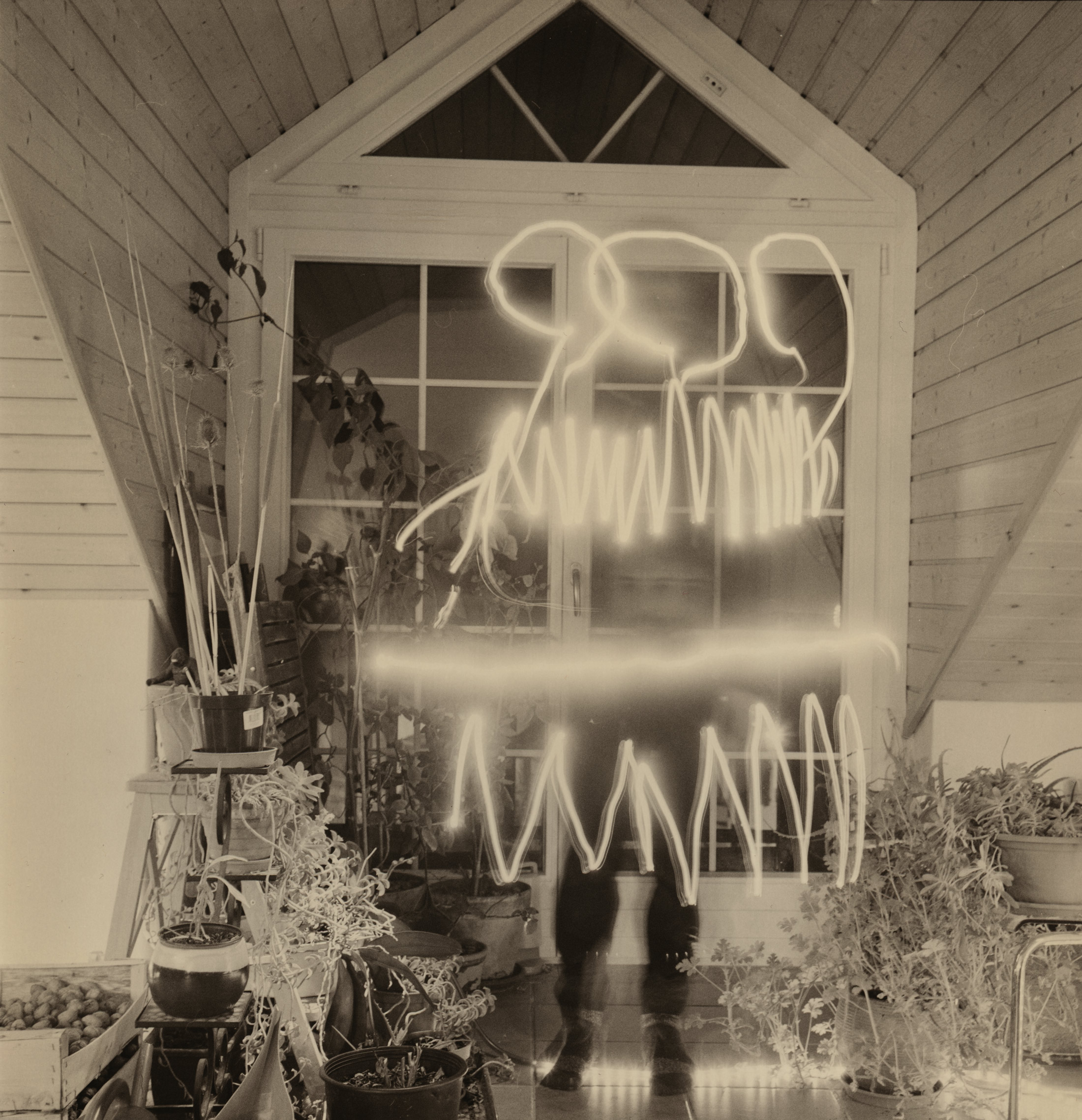 2xp-9-luzline