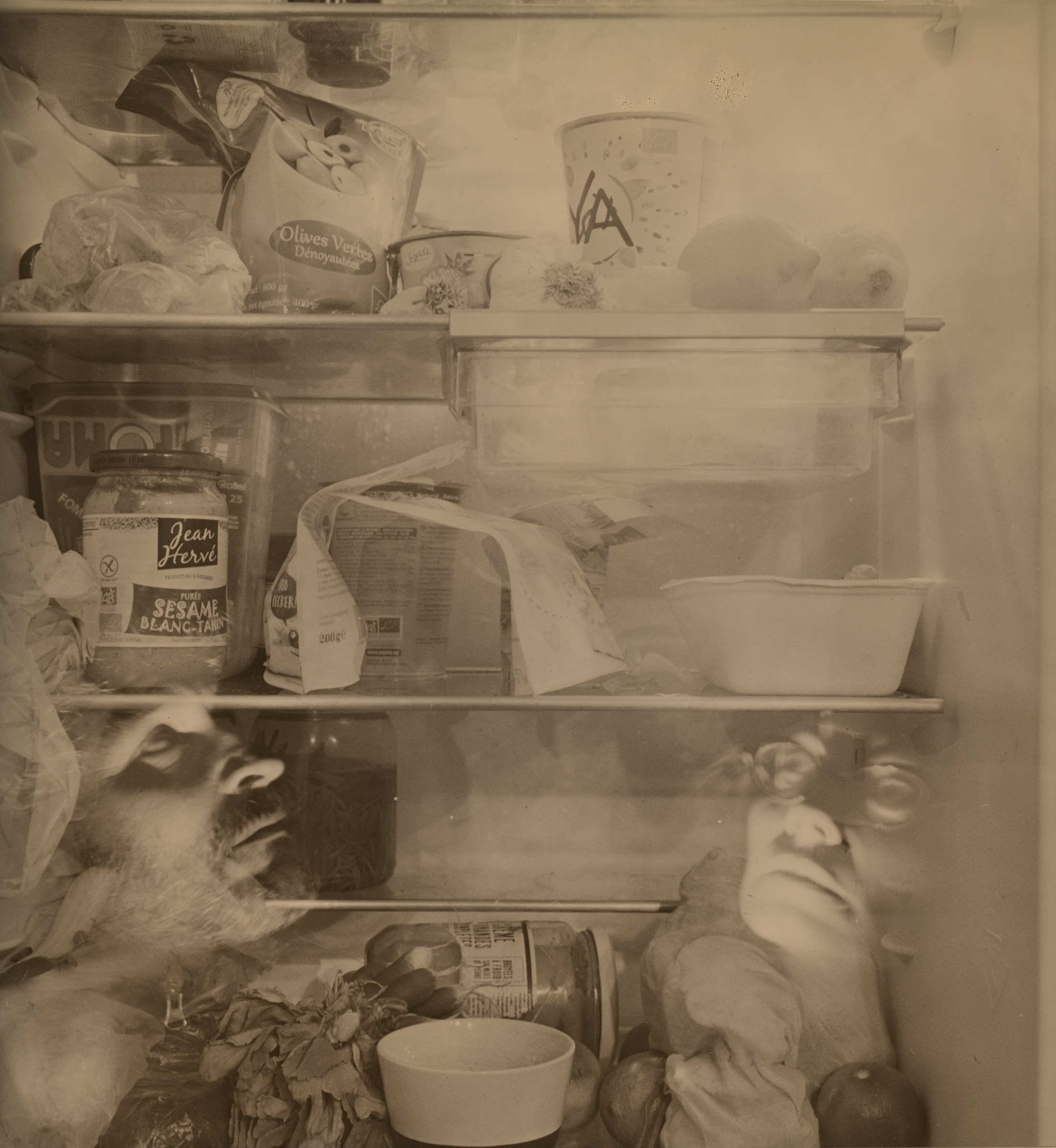 2xp-frigo14